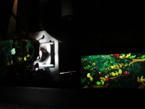 DSC04639