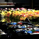 foto 6 copy